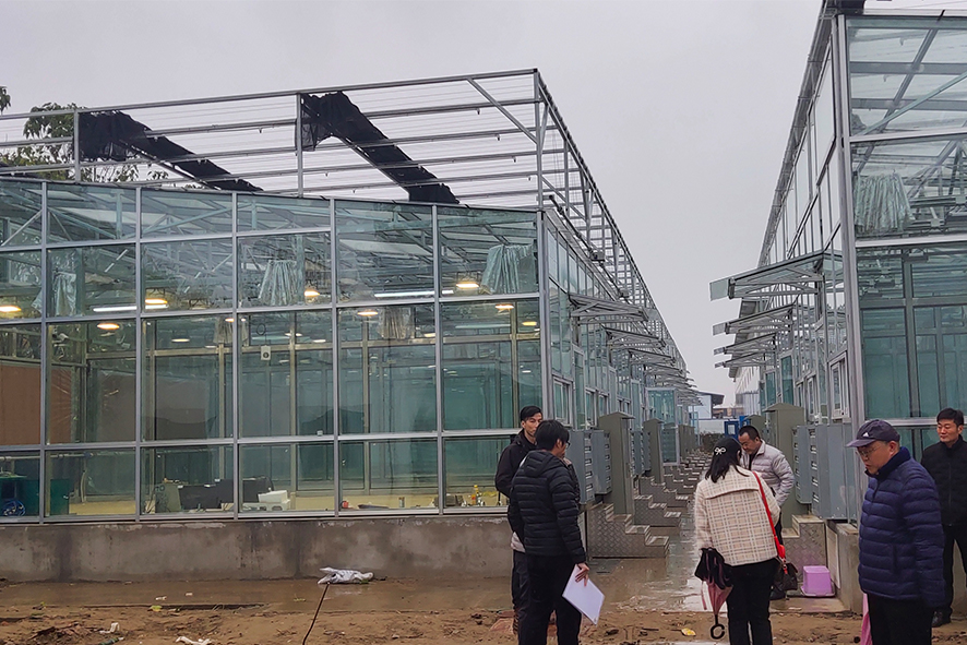 河南農業大學科研智能玻璃溫室