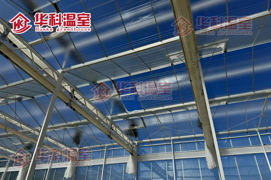 惠州市荷蘭工業化空中草莓玻璃溫室項目